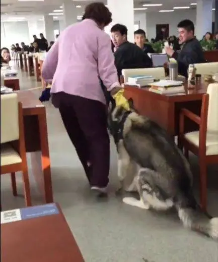 ▲(圖/翻攝自微博) ▲(圖/翻攝自微博)