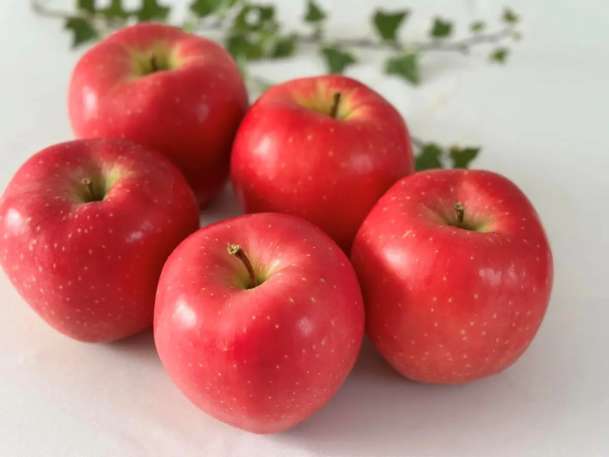 ▲日本青森縣出產的蘋果相當有名，但去年爆出當地農業協會大量蘋果遭竊的醜聞，近日調查報告出爐，事件共造成約2.24億日幣的損失。（示意圖／翻攝自健康果実「青森りんご」臉書）