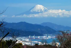 不只河口湖！遊客衝「富士山夢之大橋」搶拍照　闖車道等亂象頻傳
