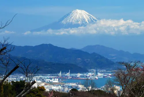 都快蓋好了！東京新建案突申請拆除　日媒：跟富士山有關
