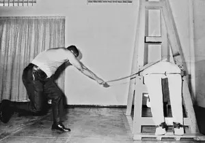 新加坡查獲38歲男子藏兒童性虐影片　最多判刑5年外加罰款或鞭刑
