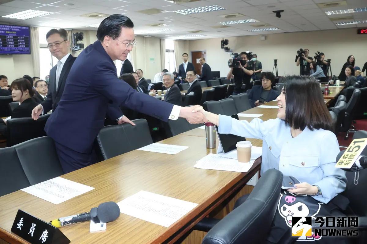 ▲國民黨立委徐巧芯與外交部長吳釗燮上演世紀之握。（圖／資料照片）