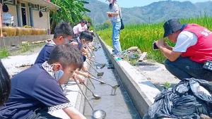 ▲小朋友體驗生態撈螺、撈魚。(圖/美濃客家庄提供) ▲小朋友體驗生態撈螺、撈魚。(圖/美濃客家庄提供)