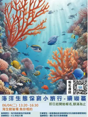 ▲6月4日展開，專注於海洋生命搖籃珊瑚，珊瑚不僅為無數海洋生物提供棲息地，還有助於鞏固海岸線，抵禦海浪侵蝕。（圖／屏東縣府提供）