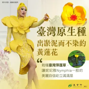 ▲妮妃雅Nymphia提到衣服的靈感，來自 #黃蓮花：「它是一種小黃花，像蓮花一樣，出淤泥而不染，需要非常多的泥巴才能長得漂亮」。（圖／農業部）