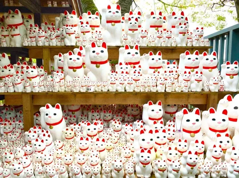 東京招財貓神社不忍了！豪德寺籲遊客停止在招財貓上寫字