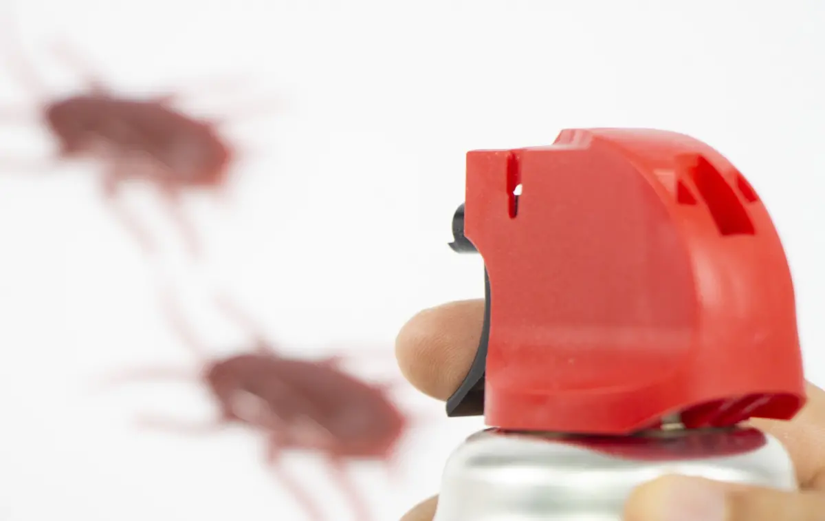 ▲一名女網友深夜在家中驚見會飛的蟑螂，求助無門下找上專業殺蟑公司，最後花2500元成功解決2隻蟑螂。（示意圖／取自photoAC）