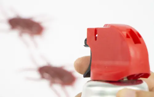 ▲環境部表示，可用殺蟑噴霧劑，在蟑螂出沒的地方，上下噴灑約10公分的帶狀藥液，只要蟑螂爬過去就會死亡。（示意圖／取自photoAC）