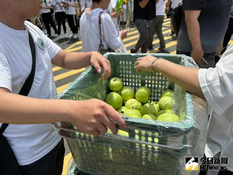 ▲民眾黨「519草根決心」遊,志工發送芭樂諷刺民進黨政府開「芭樂票」。(圖/記者呂炯昌攝,2024.05.19)