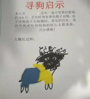 ▲一名飼主養了一隻黑色的貴賓狗,日前因為走丟,飼主便在網路上發布尋狗啟示,同時也貼在社區大樓及電梯公告。(圖/微博) ▲一名飼主養了一隻黑色的貴賓狗,日前因為走丟,飼主便在網路上發布尋狗啟示,同時也貼在社區大樓及電梯公告。(圖/微博)