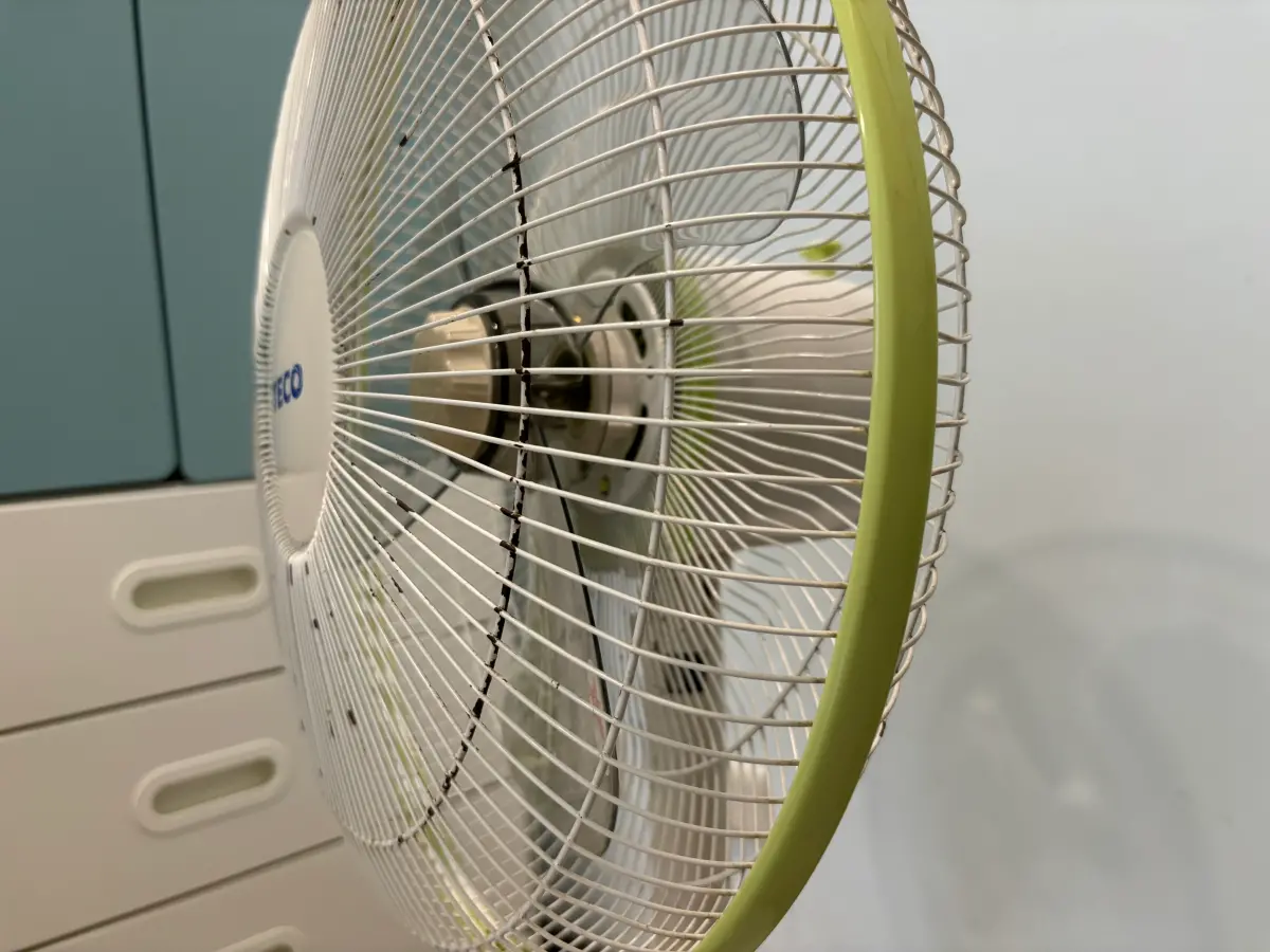 洗電風扇免拆下來水洗！全聯1招「灰塵全脫落」 家事達人也愛用