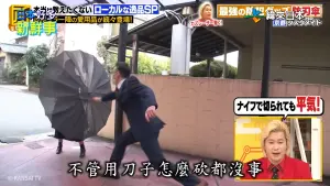 ▲日本曾發明1把要價將近台幣1萬元的「防砍傘」引發討論。（圖／翻攝緯來日本台YouTube）