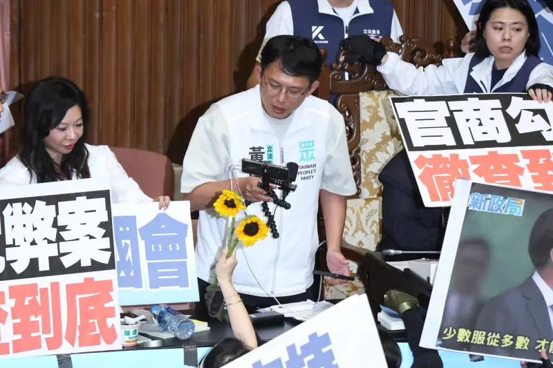 ▲民進黨立委拿起太陽花,送給曾經的學運領袖黃國昌。(圖/NOWnews攝影中心)