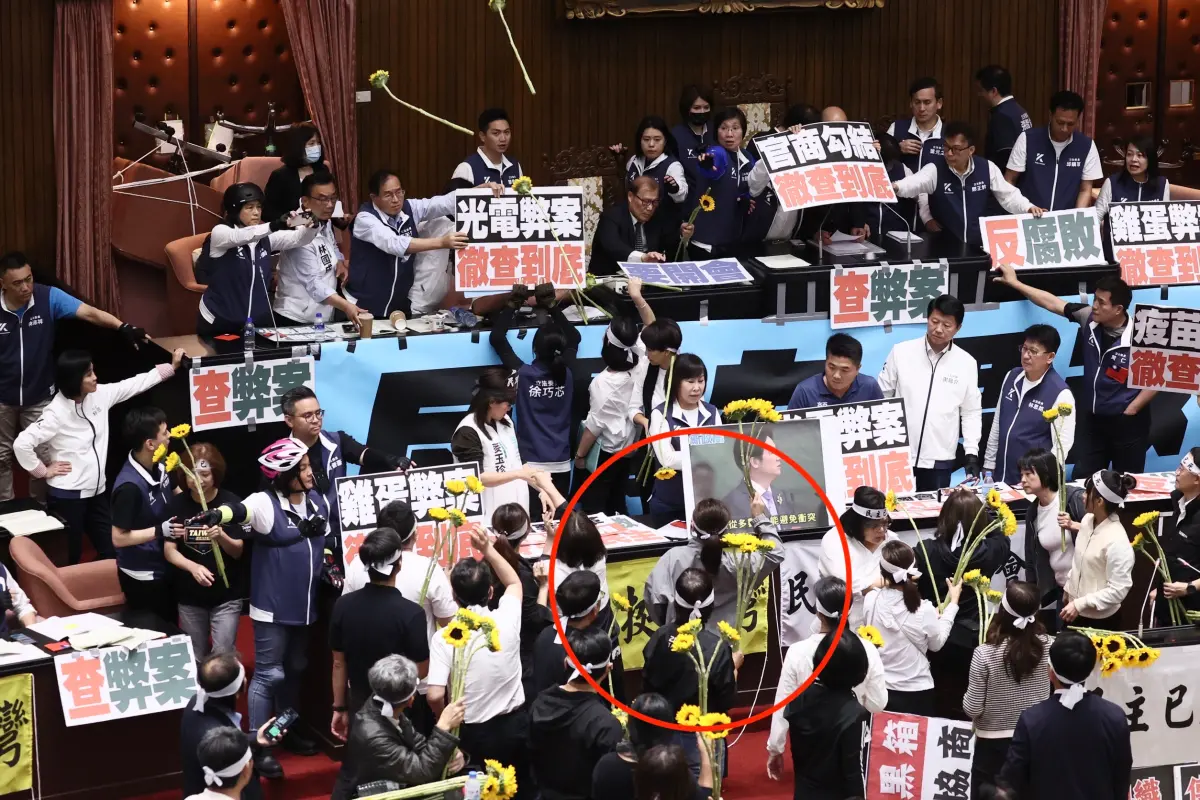 ▲不滿昔戰友背叛太陽花，吳沛憶向黃國昌怒丟太陽花。（圖／記者陳明中攝，2024.05.21）