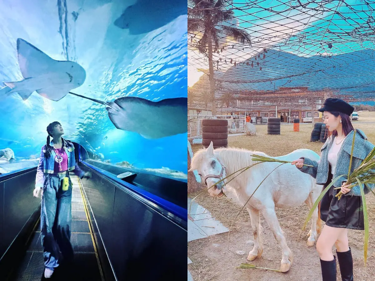 ▲花蓮景點｜暑假消暑好去處，花蓮親子景點推薦！「摸蛤仔兼洗褲」好吃好玩一次搞定