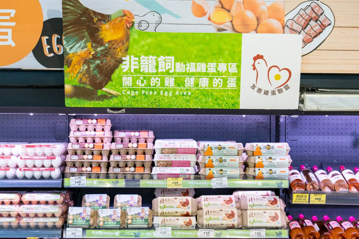 ▲非籠飼雞蛋，A.A無添加自製烘焙，動物福利標章認證，家樂福就是要給家人最好的。（圖／品牌提供）