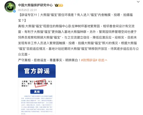 ▲大貓熊福寶(圖/翻攝自微博) ▲大貓熊福寶(圖/翻攝自微博)