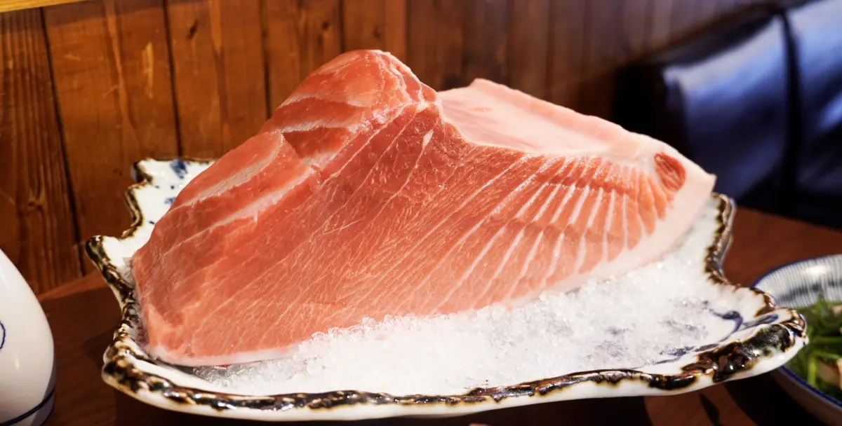 ▲屏東東港黑鮪魚季大豐收，網路誤傳崩盤「一公斤萬元變百元」的70元低價。民眾想吃新鮮黑鮪魚料理，台北「狗一下居酒食堂」忠孝門市，推出東港黑鮪魚吃到飽免跑屏東。