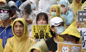 ▲民眾不畏風雨穿雨衣家參加集會。（圖／NOWnews攝影中心）