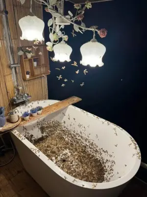 ▲迪瓦鼓起勇氣將浴缸的水放完後,還有許多白蟻屍體沾黏在浴缸內,景象必定能讓「密集恐懼症」的朋友大崩潰。(圖/翻攝Dhiwa臉書) ▲迪瓦鼓起勇氣將浴缸的水放完後,還有許多白蟻屍體沾黏在浴缸內,景象必定能讓「密集恐懼症」的朋友大崩潰。(圖/翻攝Dhiwa臉書)