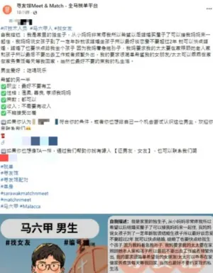 ▲33歲華裔男子近期在網上列出徵友條件，遭網友狠批「媽寶」。（圖／翻攝自臉書）