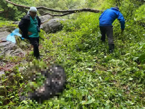 台灣黑熊中彈亡！陳屍3天被巡查員尋獲　玉管處：不排除盜獵可能
