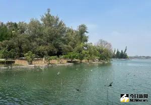 營造安全的休閒環境！水公司對澄清湖風景區進行樹木風險檢測

