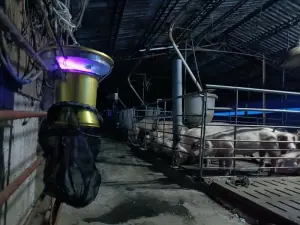 縣府防疫人員已在個案居住地周邊懸掛捕蚊燈 ▲縣府防疫人員已在個案居住地周邊懸掛捕蚊燈。(圖/屏東縣府提供)