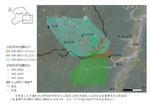 ▲110年台灣黑熊BB03活動範圍研究結果。（圖／玉管處）