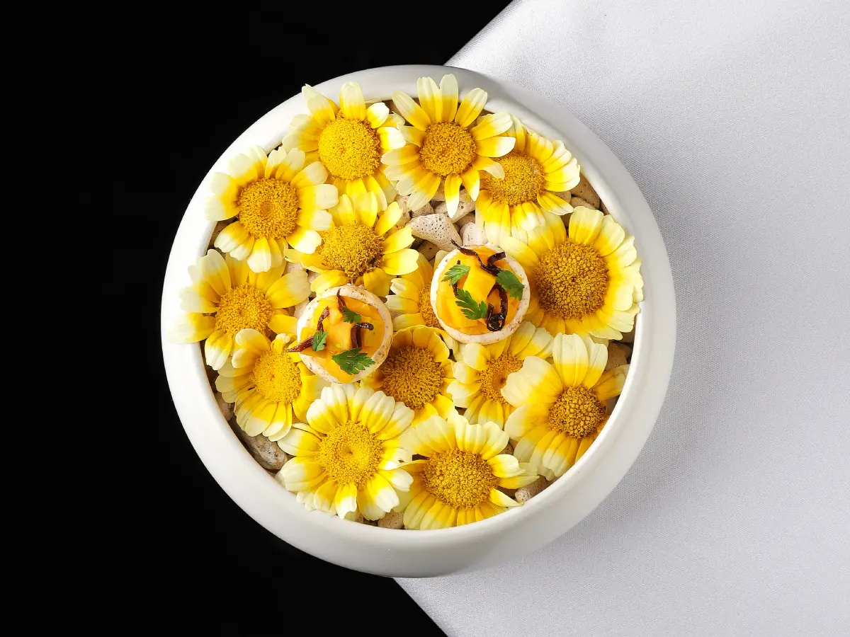 ▲隸屬高雄聯上餐旅集團的MÚO，由高雄首位Fine dining女主廚Ling帶領，專屬女師傅的浪漫情懷展現於全新菜色中，也擅長直火處理澳洲Ｍ9純血和牛等排餐，春夏新菜單每人每套2380元＋10%起就吃得到。（圖／MÚO提供）