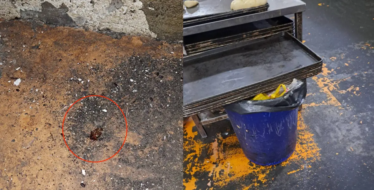 ▲有民眾投訴在嘉義某麵包店買巧克力蛋糕，赫然發現蛋糕內有蟑螂，今天嘉義市衛生局前往稽查，也在現在發現蟑螂屍體。（圖／嘉義市府提供）