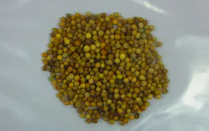 印尼出口「白胡椒(WHITE PEPPER)」檢出農藥殘留含量不符規定 ▲印尼出口「白胡椒(WHITE PEPPER)」檢出農藥殘留含量不符規定。(圖/食藥署)