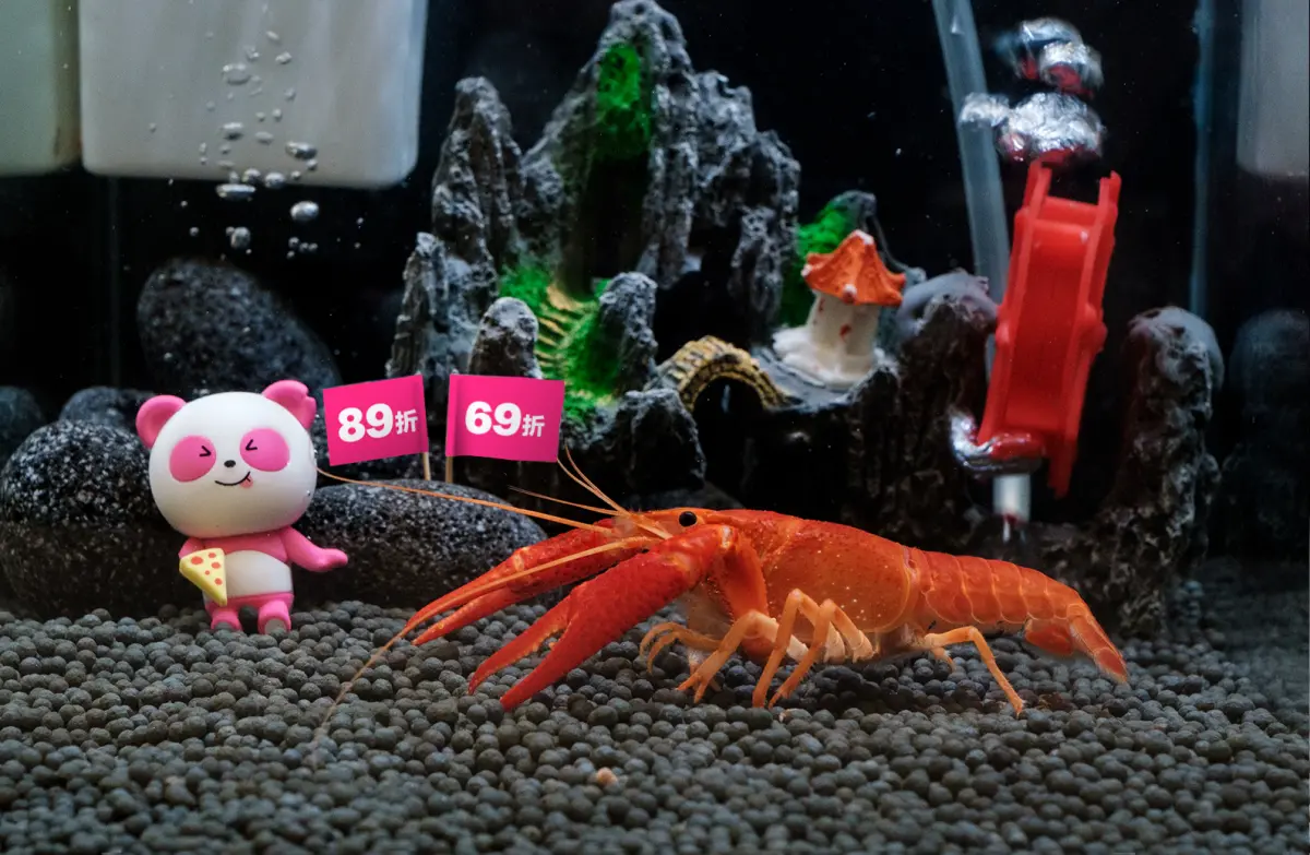 ▲foodpanda今年首度加入618年中慶戰局，和蝦皮購物合作，在蝦皮直播由真蝦挑出優惠碼折扣，相當特別。（圖／官方提供）