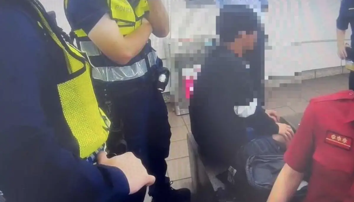 ▲陳姓男子搭乘北捷時情緒突然失控，對著一名女乘客咆嘯，隨後手持雨傘在車廂內追打女乘客，所幸同車乘客即時制止，並按響求助鈴，捷運警察隊立即趕抵。（圖／翻攝畫面）