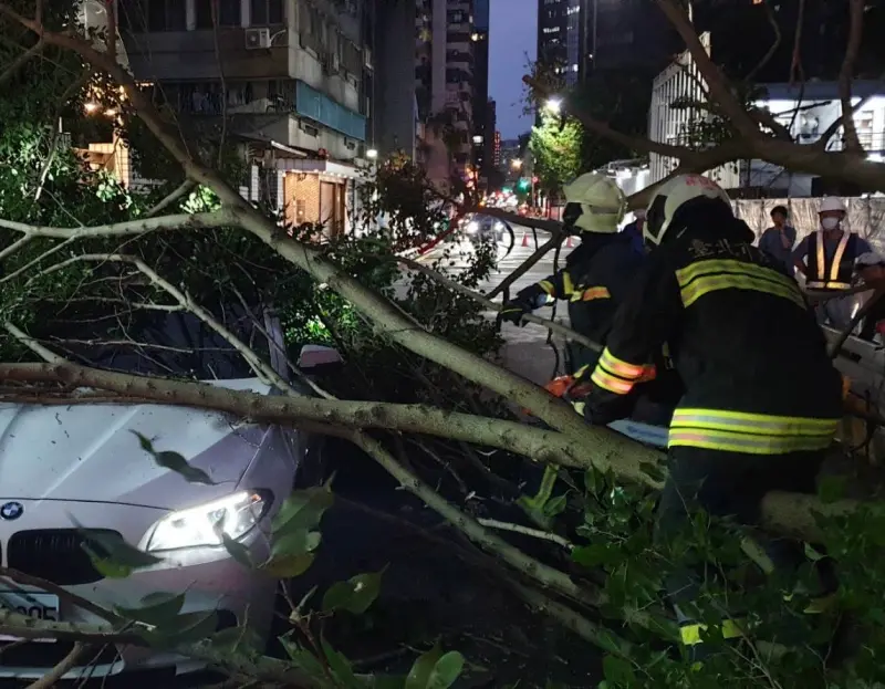 北市路樹倒塌！BMW慘卡路中央3人受困　警消電鋸助脫困