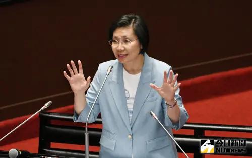 對國民黨忠誠度遭質疑！徐欣瑩獲選全國黨代表　籲回歸民主初選
