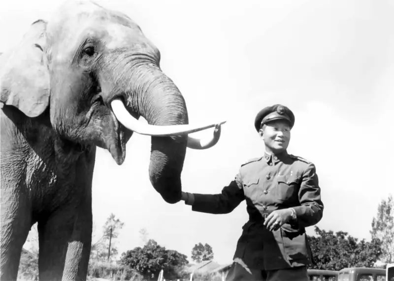 ▲孫立人將軍與大象林旺在陸軍官校。拍攝於民國39年（圖／羅廣仁提供）