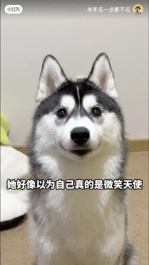 ▲(圖/翻攝自小紅書) ▲(圖/翻攝自小紅書)