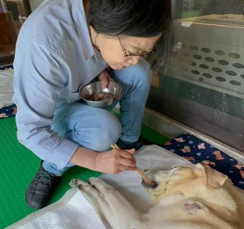 ▲蔡英文餵食愛犬食物。（圖／蔡英文臉書）