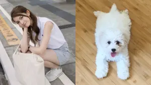 女星慘遭愛犬咬傷！家裡滿地鮮血照片曝光　本人親吐原因引心疼
