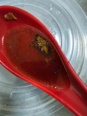 ▲近期食物內出現小強的事件,越來越頻繁發生。(圖/翻攝「新竹爆料公社」) ▲近期食物內出現小強的事件,越來越頻繁發生。(圖/翻攝「新竹爆料公社」)