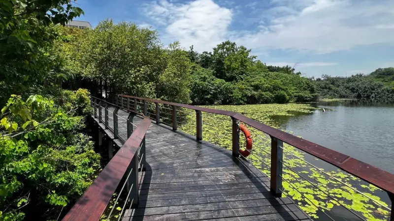 ▲鳥松濕地步道升級完成。（圖／高市府觀光局提供）