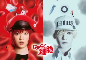 ▲永野芽郁(左)與佐藤健(右)2人睽違6年再度合作。(圖/翻攝自電影《工作細胞》官方X) ▲永野芽郁(左)與佐藤健(右)2人睽違6年再度合作。(圖/翻攝自電影《工作細胞》官方X)