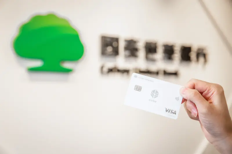 國泰世華CUBE卡2024 Q3權益出爐　最高3.3%回饋　LINE Pay消費5%