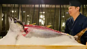王品藝奇「現流鮪魚」套餐88折!加購和牛5折 壽司郎鮪魚大腹40 ▲王品推出「藝奇第1鮪」現流鮪魚入菜。(圖/記者蕭涵云攝)