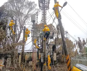 ▲台電公司高雄區營業處致力於防颱準備工作，維修人員巡視檢點配電場所。(圖／台電高雄區營業處提供)