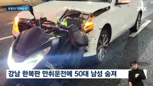 ▲▼事發當下，Yesong是抱著狗狗下車查看，沒有報警。（圖／JTBC News YouTube）