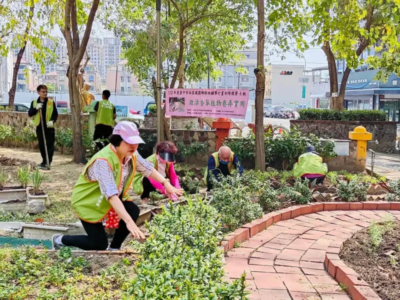 ▲中市東區東英社區發展協會長期認養維護進業公園，防治登革熱種植香草植物(圖／社會局提供2024.6.15)