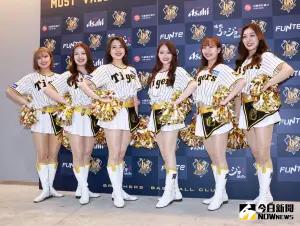 ▲六位阪神虎啦啦隊女孩「Tiger Girls」受邀來到台北大巨蛋,參加中信兄弟的「阪神甲子園球場日」活動。(圖/記者吳翊緁攝) ▲六位阪神虎啦啦隊女孩「Tiger Girls」受邀來到台北大巨蛋,參加中信兄弟的「阪神甲子園球場日」活動。(圖/記者吳翊緁攝)