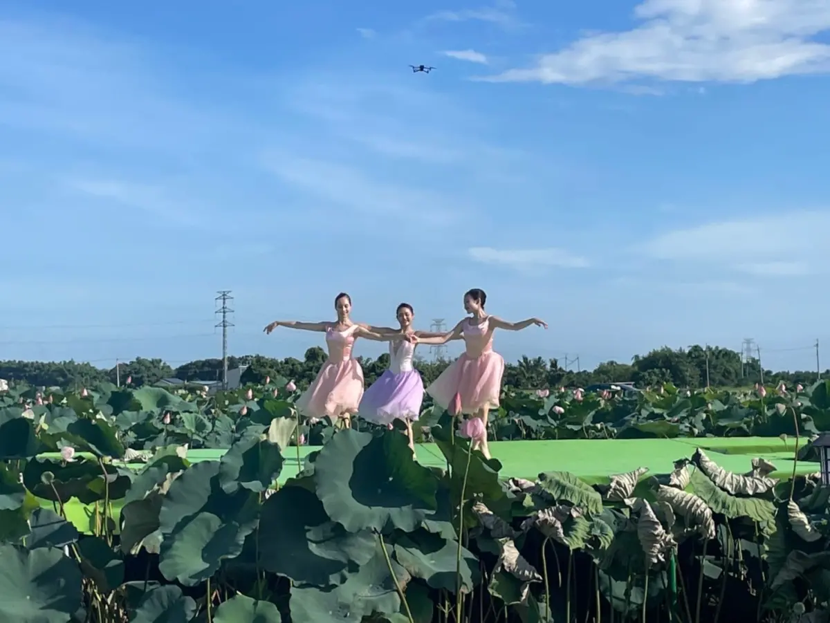 ▲臺南市政府結合「臺南400」首度舉辦的「臺南400農漁地景藝術節」地景劇場，今（15）日在白河馬稠後關帝廳夢幻登場。(圖／台南市政府提供)